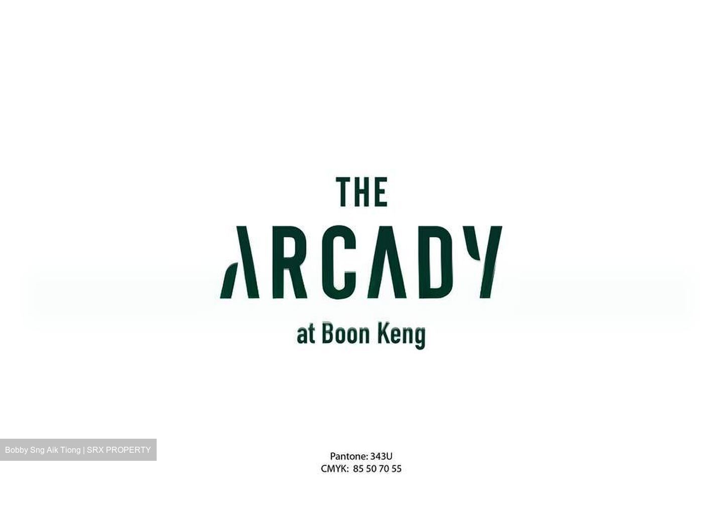 THE ARCADY AT BOON KENG (D12), Apartment #591296961